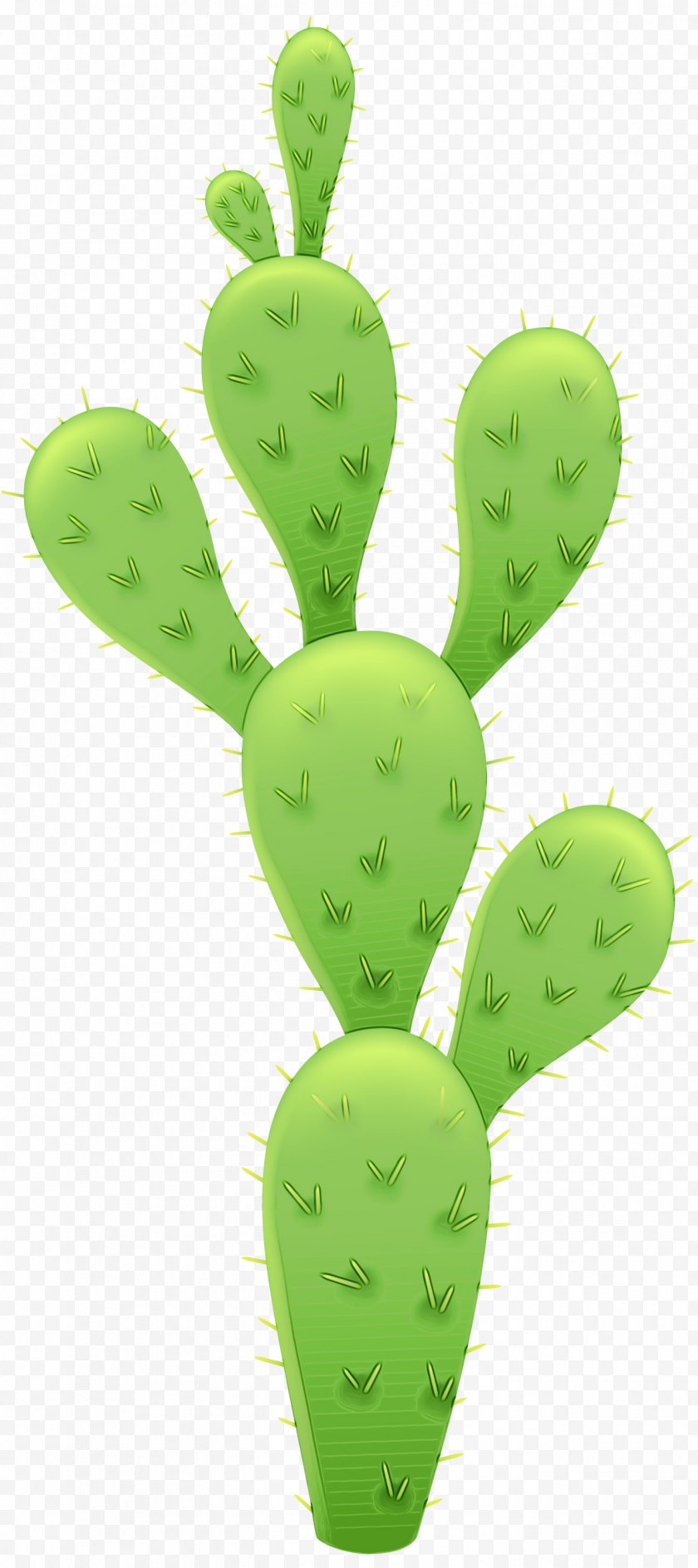 Green - Cereus Repandus - Bunny Ears Cactus Vector Graphics Plants Barbary Fig - Houseplant Free PNG