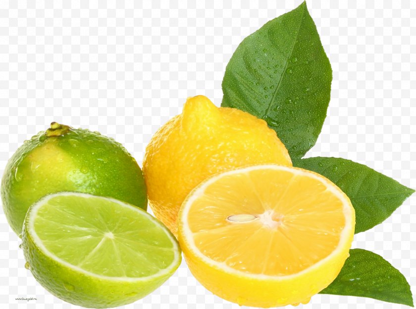 Lemon - Citric Acid Fruit Lime - Tangelo Free PNG
