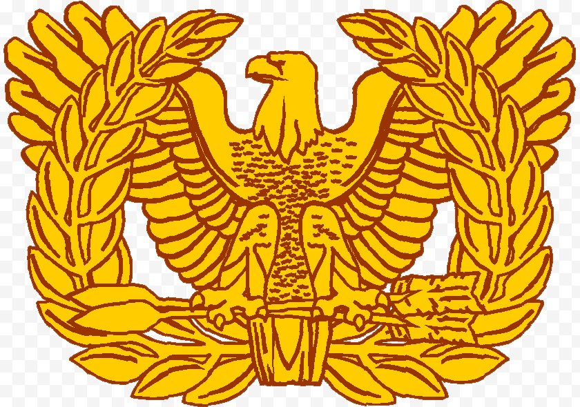 Army National Guard - Warrant Officer Military Rank United States - Police - Rising Free PNG