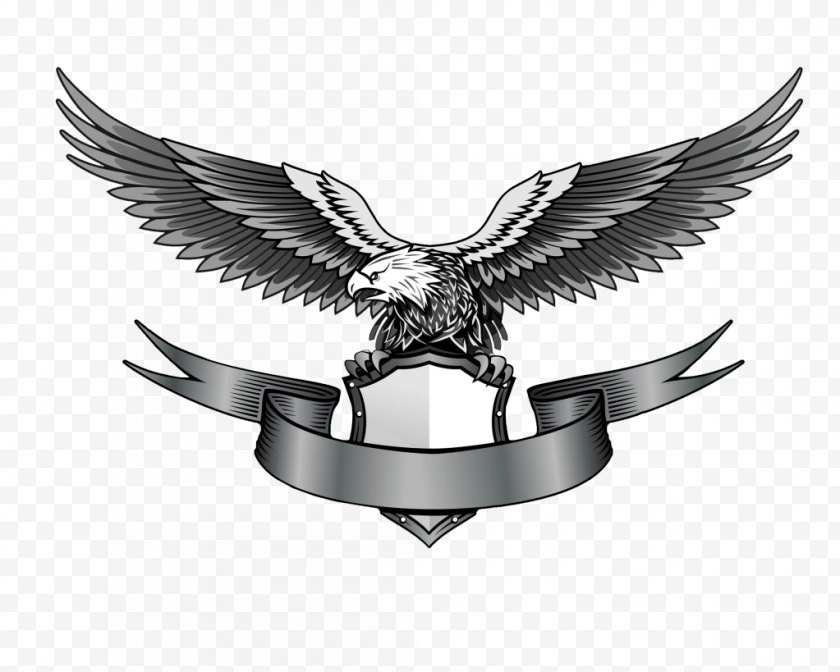 Wing - Eagle Logo Clip Art - Bird - Image Download Free PNG