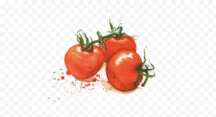 Bush Tomato - Varenye Fruit Vegetable Illustration - Potato And Genus - Watercolor Free PNG