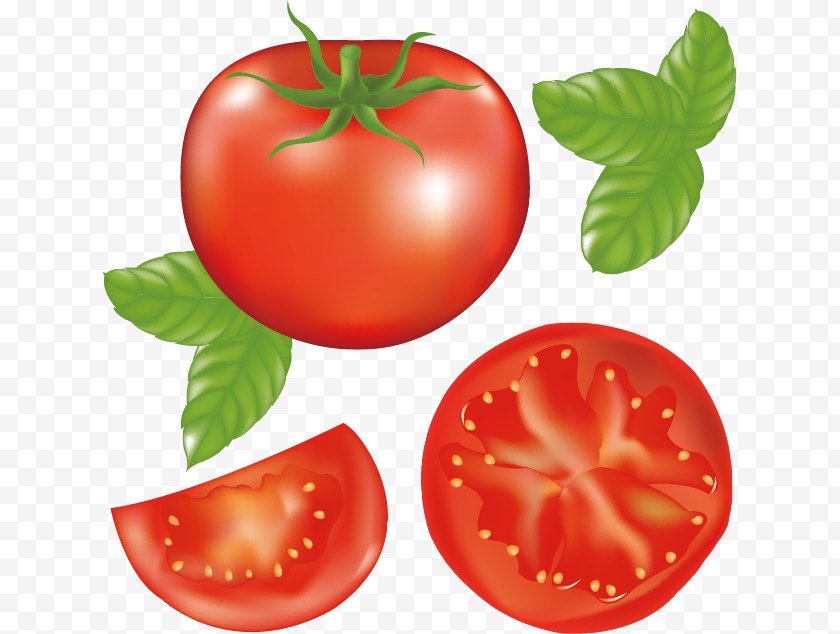 Bush Tomato - Juice Hamburger Clip Art - Superfood Free PNG