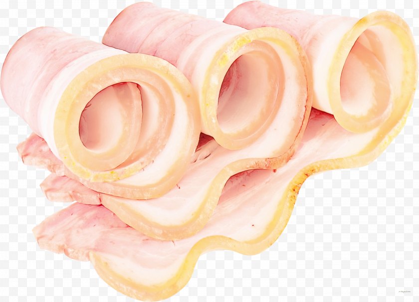 Turkey Ham - Cuisine - Bacon Clip Art Pork - Roasting Free PNG