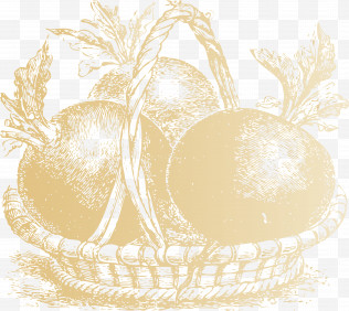 Vegetable PNG Images, Transparent Vegetable Images