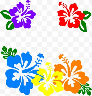 Hawaiian Flower PNG Images, Transparent Hawaiian Flower Images