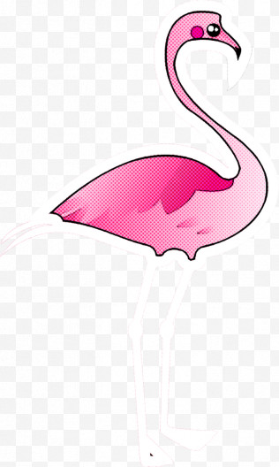 Flamingo PNG Images, Transparent Flamingo Images
