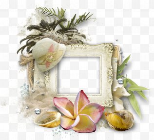 Arecales - Mat Arecaceae Shore Beach Picture Frames - Vacation Free PNG