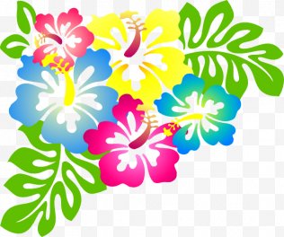 hawaiian flower png images transparent hawaiian flower images pngtab